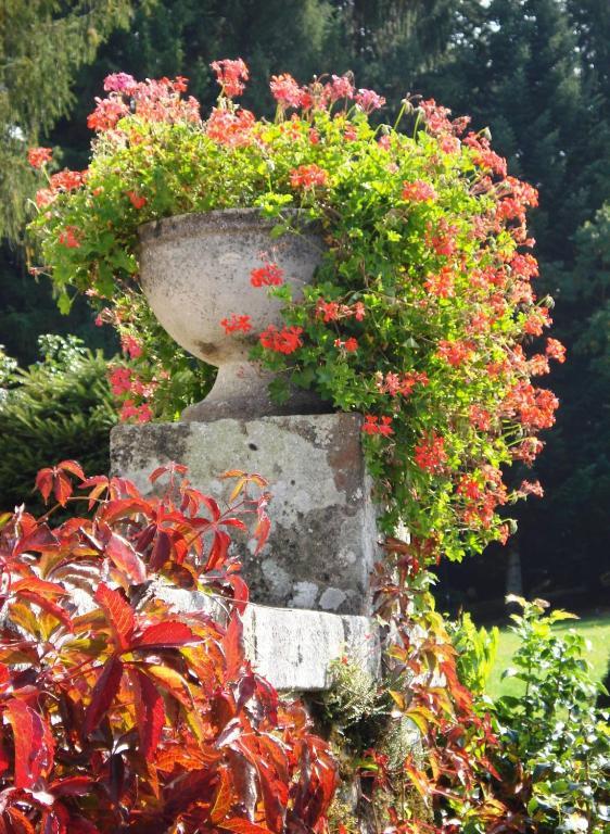 Chateau Le Mialaret Neuvic  Bagian luar foto